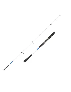 Mitchell Riptide Spinning Sea Fishing CAnna 2 Sections 