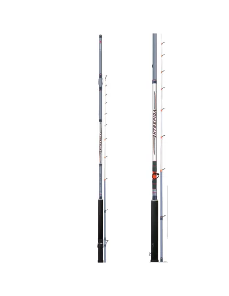 Colmic Intrepida 750 Canna da Pesca per Mulinello Elettrico Canne da pesca Colmic