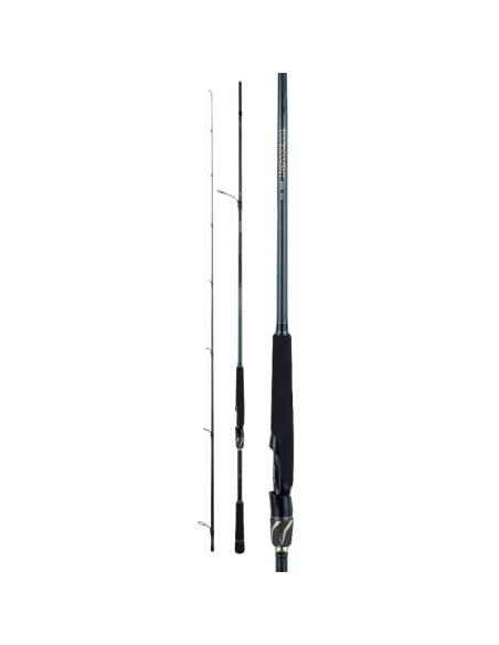 Daiwa Tournament AGS Spinning Canna da Pesca in Carbonio Canne da pesca Daiwa
