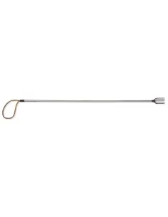 Spear gun to 5 tips 