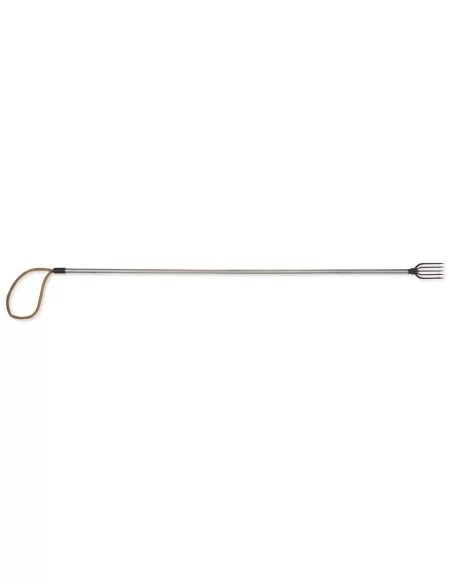 Spear gun to 5 tips