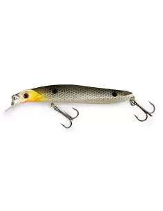 Lineaeffe Total Minnow Floating 10cm 8g  2