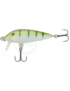 Shutdown minnow  2