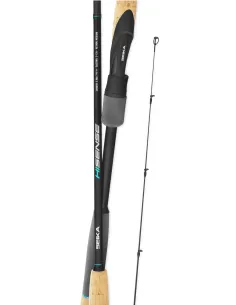 Seika Hisense fishing rods specific for light game 2