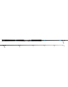 Reading Salina Tuna Canna da pesca Canne da spinning Reading