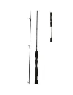 Reading Canna da Pesca ALTERA Canne da spinning Reading