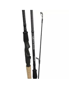 Reading Canna da Pesca EPIXOR Canne da spinning Reading