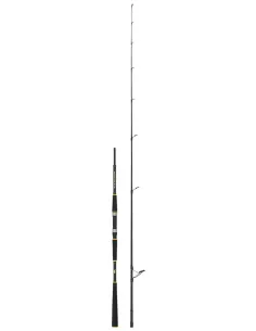 SEIKA Sea Sun – Boat and Reef Spinning Rod for Marine Predators, Reactive Action