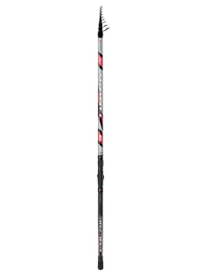 Colmic TINDAL – Lightweight and Balanced Rod for All-Round Fishing in Freshwater and Sea, Casting 50–100 g