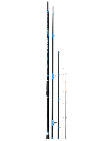 Colmic AUSONIA 4.00 m rod for drifting and bottom fishing - Medium and Strong, double interchangeable tips
