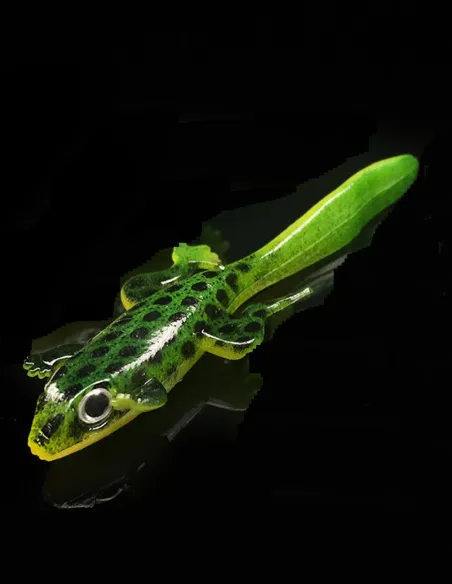 Kolpo Rubber Frog 7.5cm 3g with Attracting Tail Spinning Lake River 2pcs