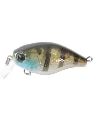 kit 3 Artificiale Pesca Spinning Kraken Kolpo 40 mm