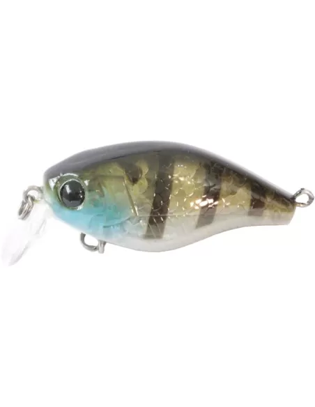 kit 3 Artificiale Pesca Spinning Kraken Kolpo 40 mm