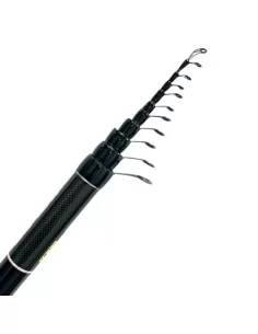 Kolpo Futura Fishing Rod Bolognese 2