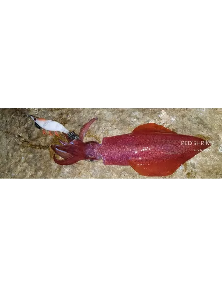 Dtd Red Shrimp Egi Squid Jig 3.0