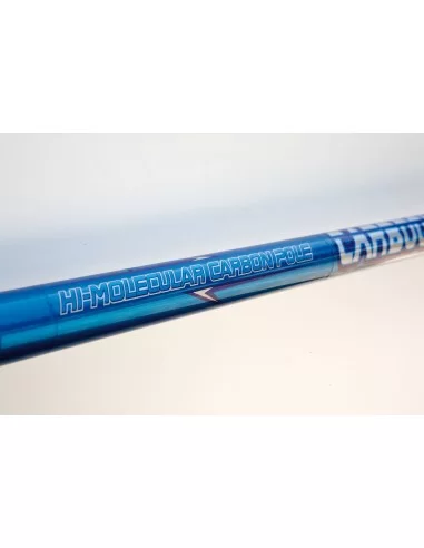 Lineaeffe Carboqueen Pole Canna da pesca Bolognese Carbonio Canne da pesca Lineaeffe