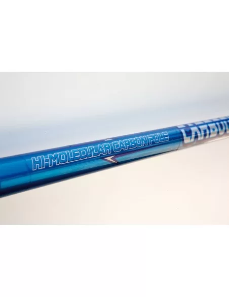 Lineaeffe Carboqueen Pole Canna da pesca Bolognese Carbonio Canne da pesca Lineaeffe