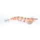 Kolpo Creed Totanare Prawns for Peach Cuttlefish Size 3.0 Kolpo