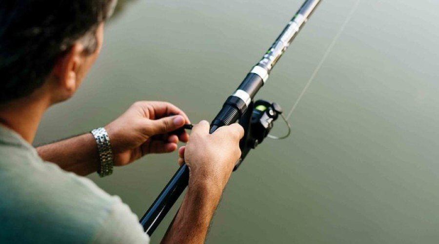Pesca autunnale: i prodotti per pescare cefalopodi e sgombri