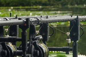 Canne da pesca: tipologie e tecniche
