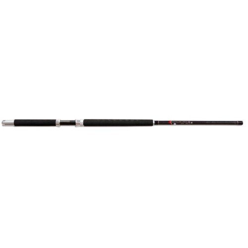 Fishing rod-Electric special reel Lineaeffe