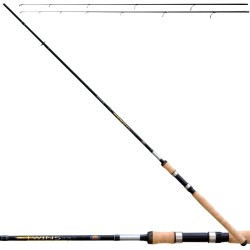 Lineaeffe Twins Action Fishing Rod Spinning