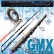 Casting fishing rod-GMX 200 Surf Lineaeffe