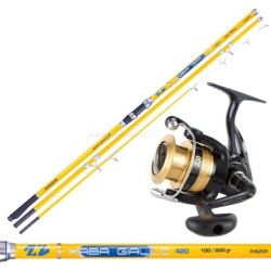 Combo Daiwa Surfcasting Reed and Sweepfire Reel