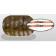 Esca Artificiale Herakles Viber Craw 3.5 inch Herakles - Pescaloccasione