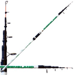 Lineaeffe Townsville's Rod Action 100 gr Beach Ledgering