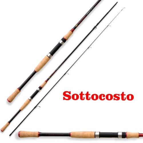 Spinning Rod in carbon 3 mt Action 30 gr Lineaeffe