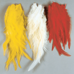 Feathers for Frames