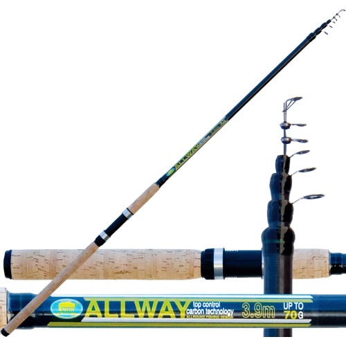 Fishing rod Allway 70 Gr Power carbon Lineaeffe