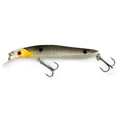 Lineaeffe Total Minnow Floating 10cm 8g