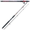Caspian Action Fishing Rod 100 - 250g