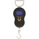 Angling Pursuits Electronic Scale 40 kg NGT
