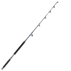 Sugoi Altruria Fishing Rod Big Game 50-80 lb 1.70 mt