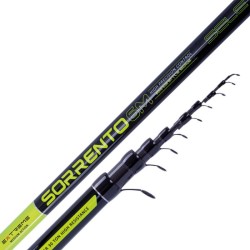 Sele Sorrento Bolognese Fishing Rods in Carbon 30T