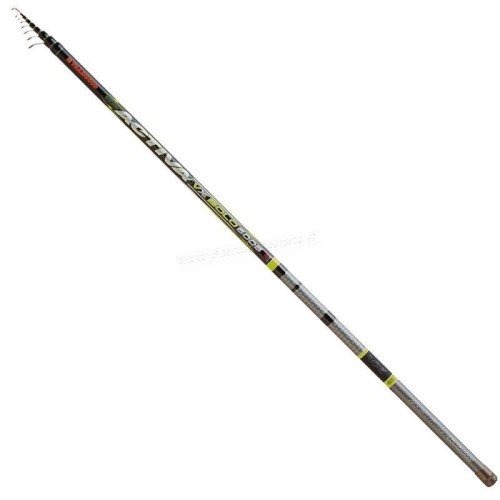 Fishing rod-Bolognese Trabucco Activa VX Bole Equipment, fishing rods and fishing reels