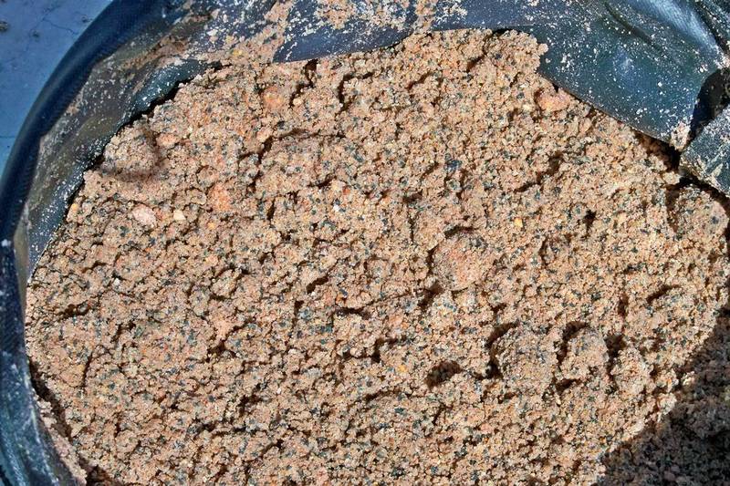 groundbait for salpa fishing