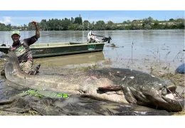 Catfish Rods: The Complete Guide to Catfishing for Extreme Anglers