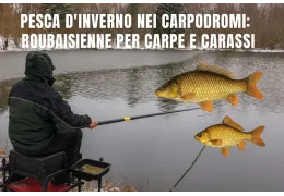 Winter fishing in carp fisheries using the pole technique for carp and crucian carp