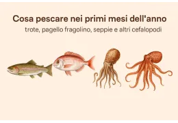 What to fish for in the early months of the year: trout, common pandora, cuttlefish and other cephalopods