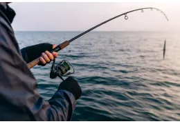 The Complete Guide to Spin Fishing: Techniques, Equipment, and Strategies